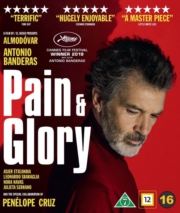 Pain and glory