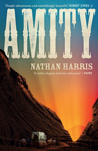 AMITY : from the Booker-longlisted author of The Sweetness of Water