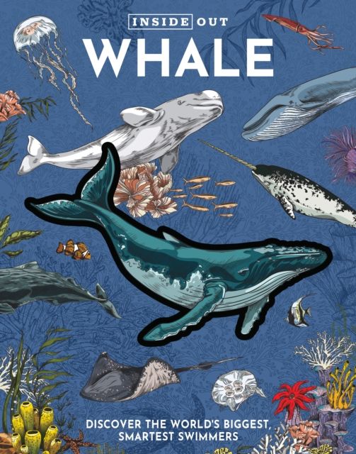 Inside Out Whale : Discover the World's Biggest, Smartest Swimmers