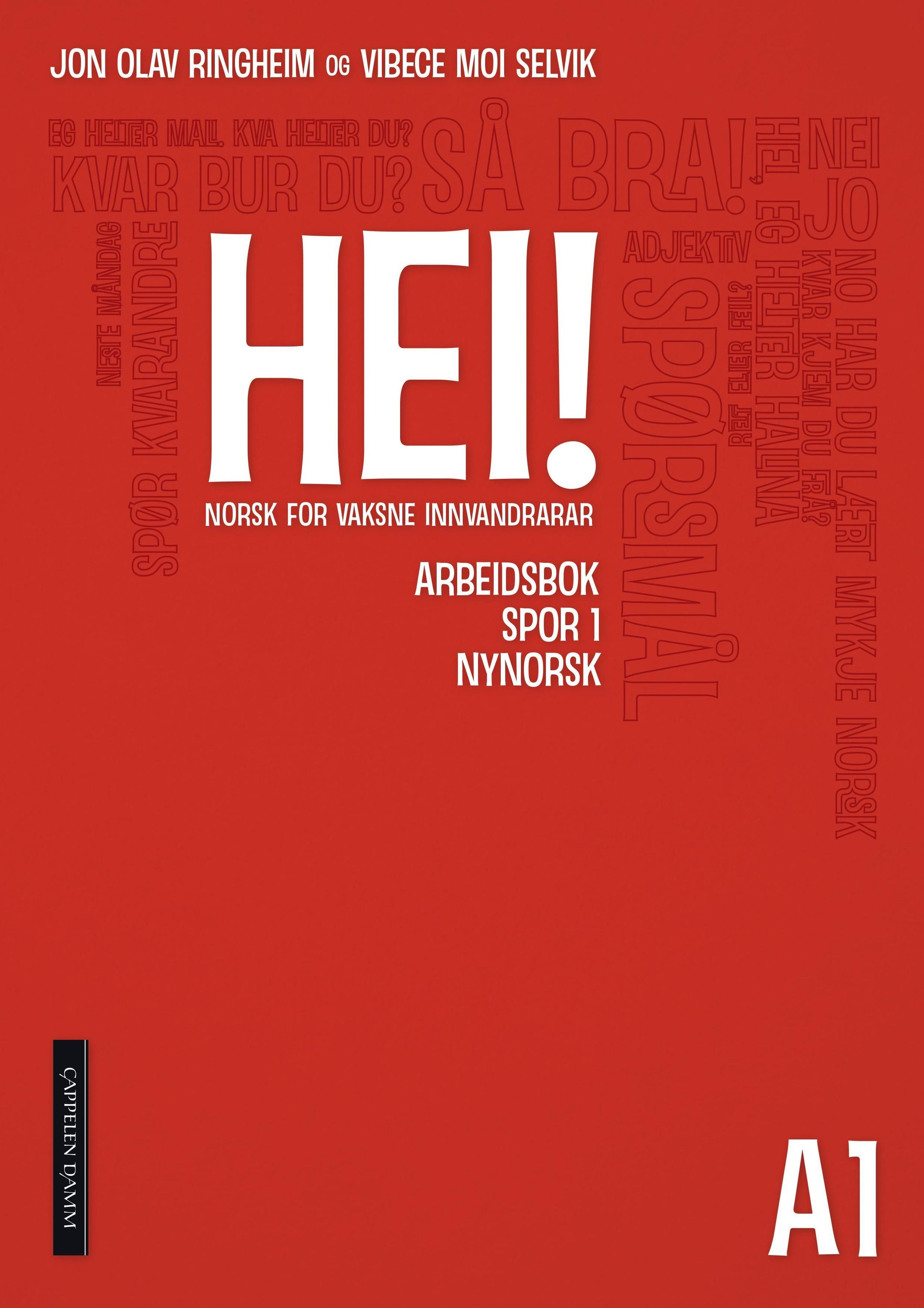 Hei! : norsk for vaksne innvandrarar : A1 : arbeidsbok : spor 2