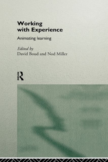 Working with Experience : Animating Learning