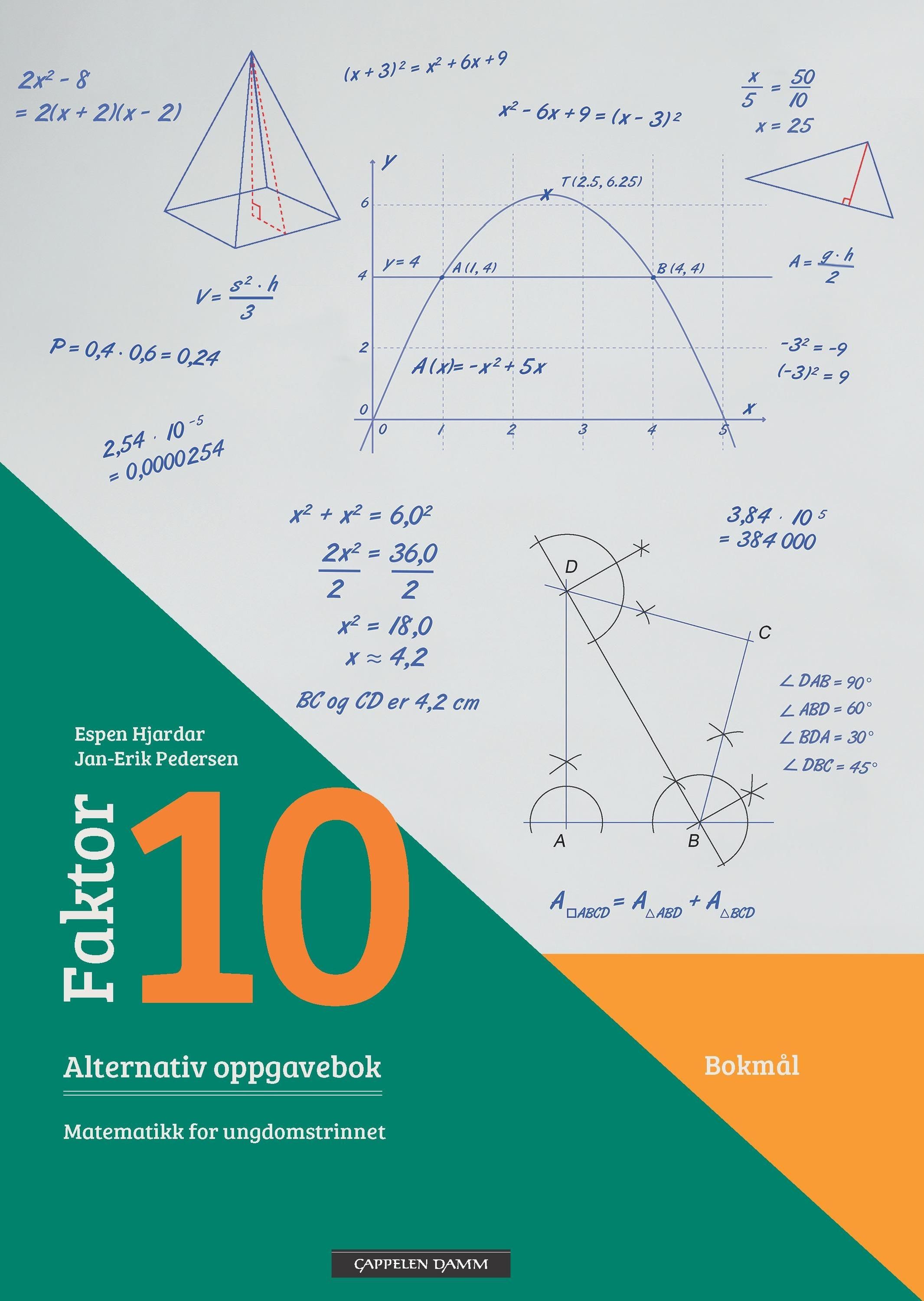 Faktor 10 : alternativ oppgavebok