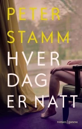 Hver dag er natt : roman