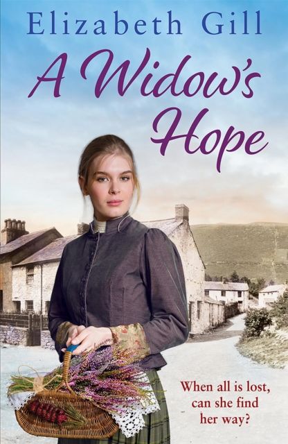 Forsidebilde av A Widow's Hope