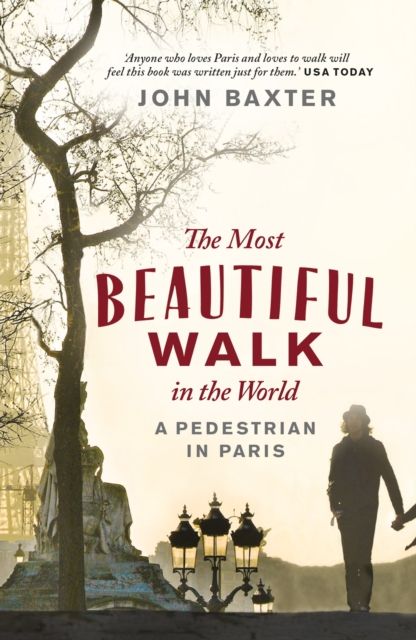 The most beautiful walk in the world : a pedestrian in Paris