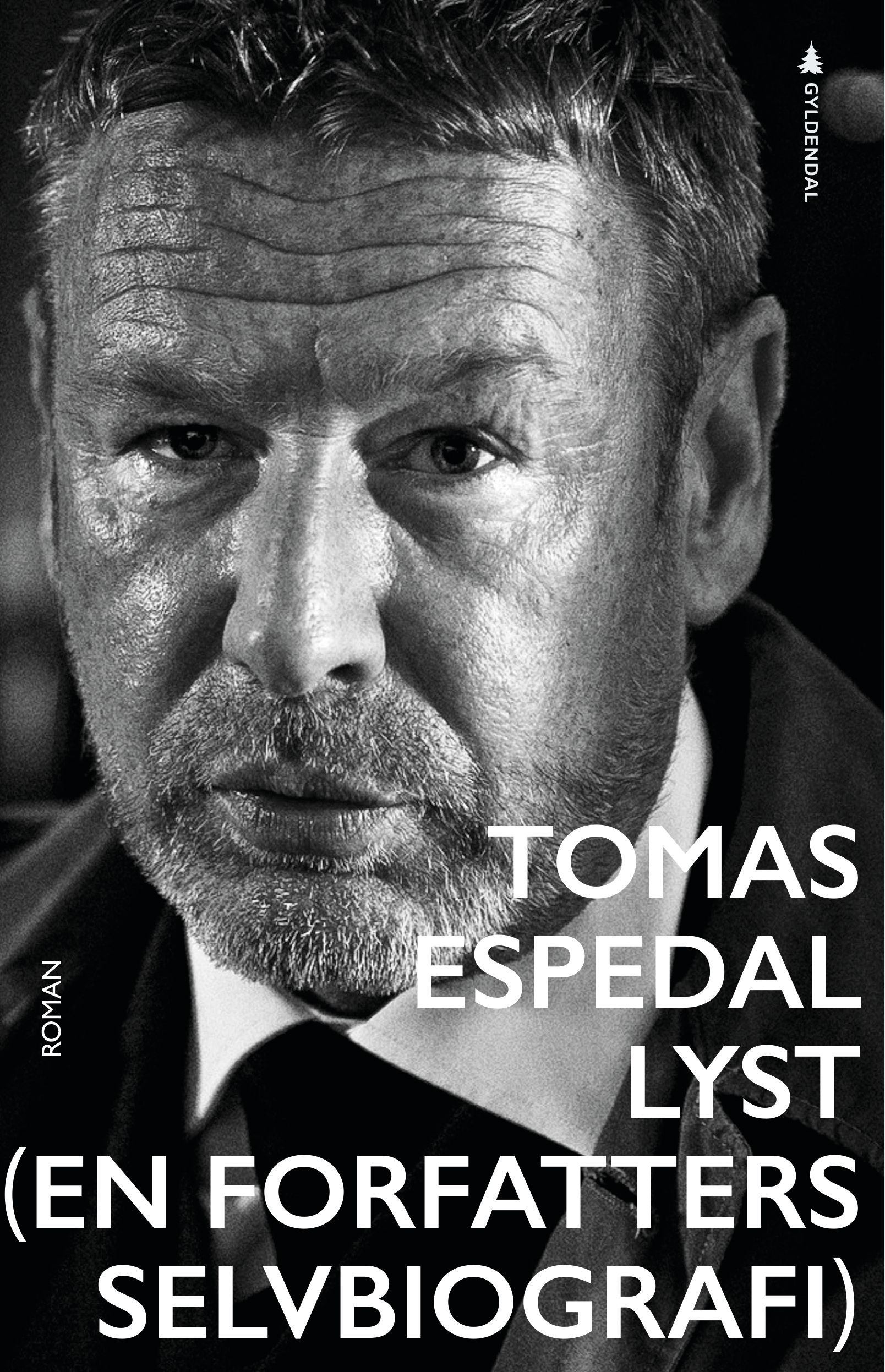 Lyst : (en forfatters selvbiografi) : roman