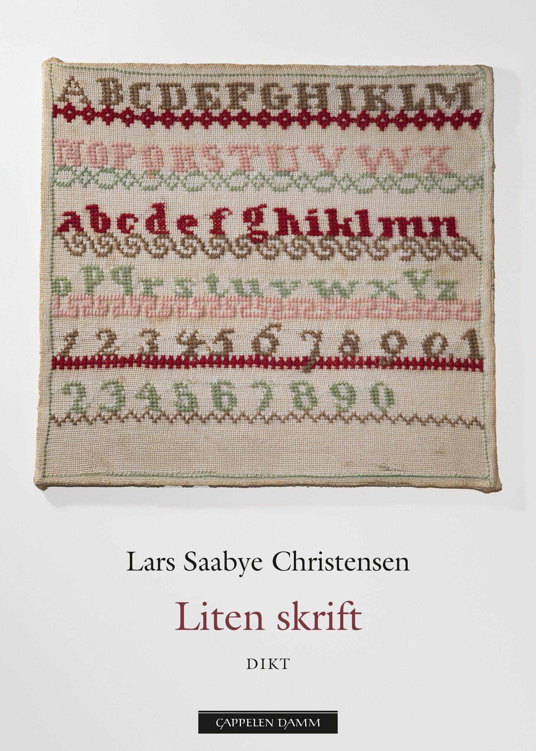 Forsidebilde av Liten skrift
