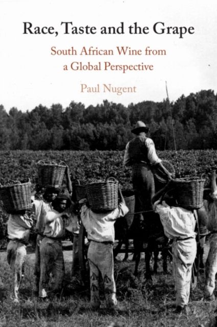 Race, Taste and the Grape : South African Wine from a Global Perspective