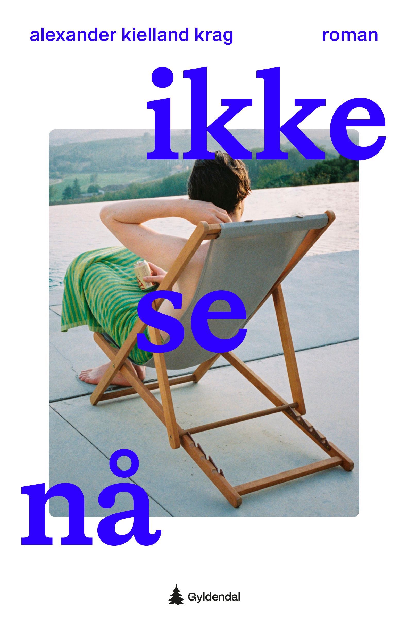 Ikke se nå : roman