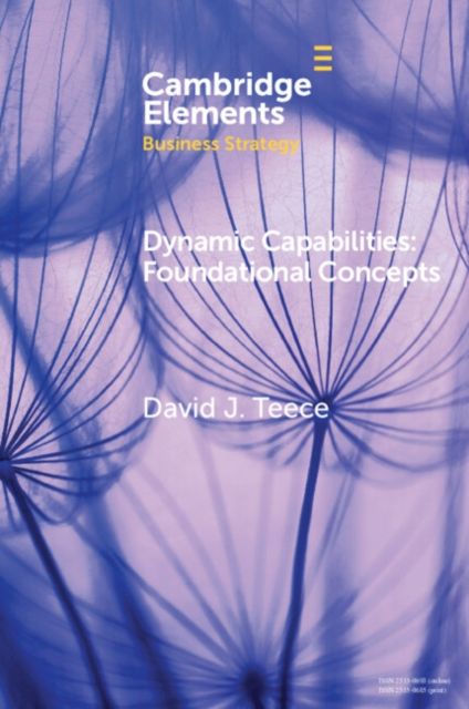 Dynamic Capabilities : Foundational Concepts