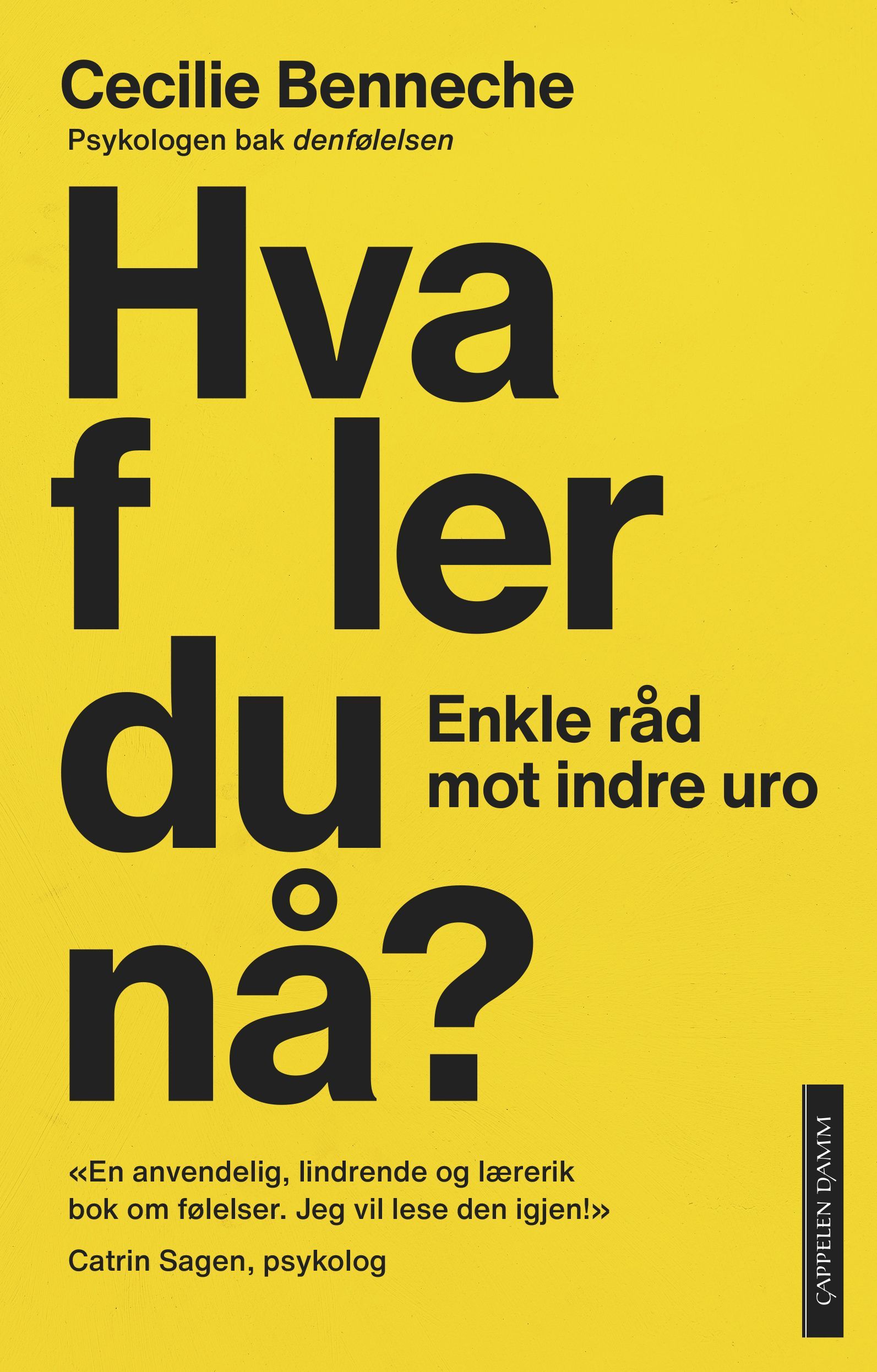Hva føler du nå? : enkle råd mot indre uro