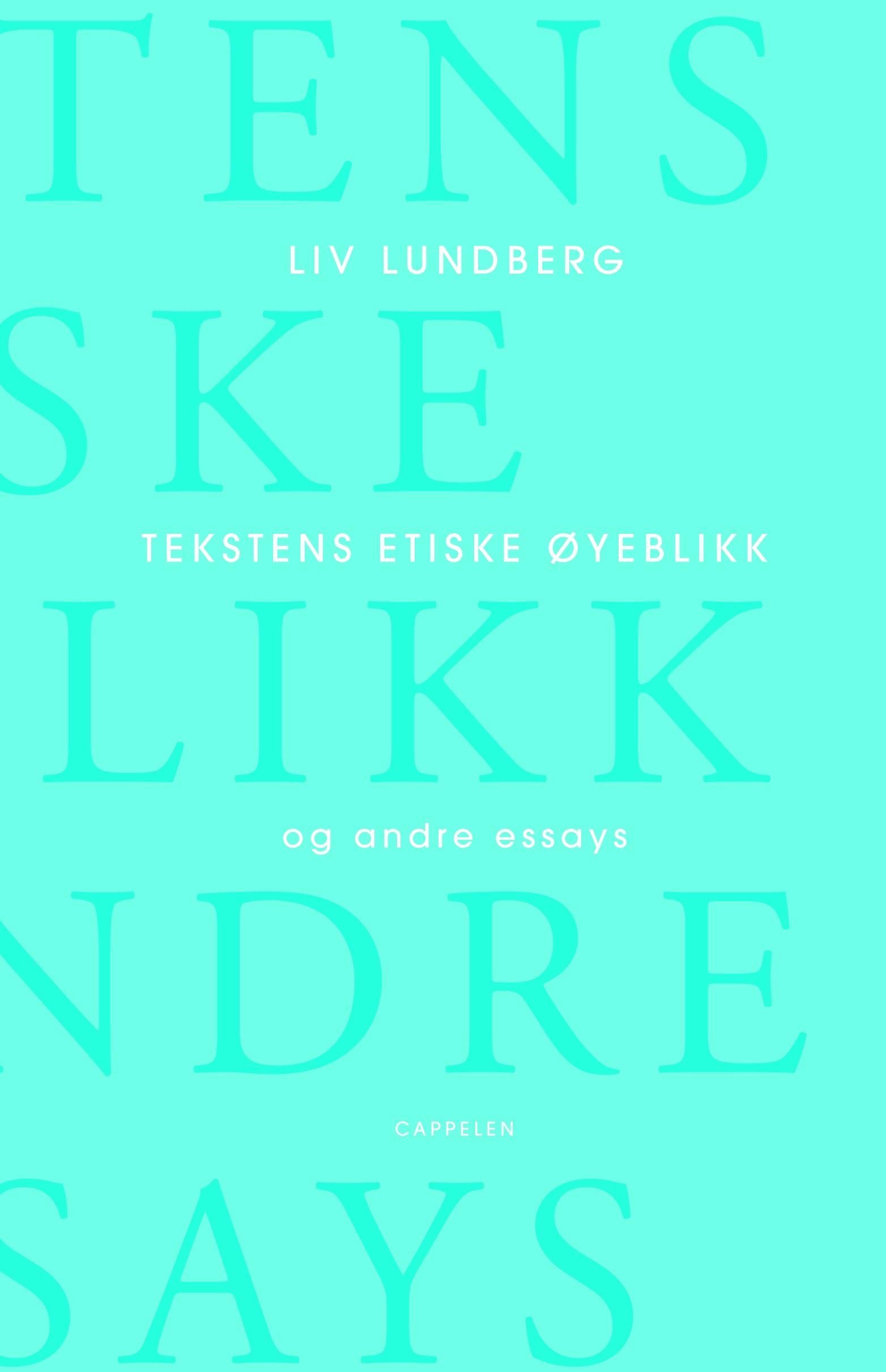 Tekstens etiske øyeblikk og andre essays
