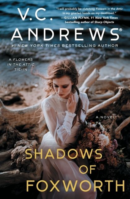 Forsidebilde av Shadows of Foxworth
