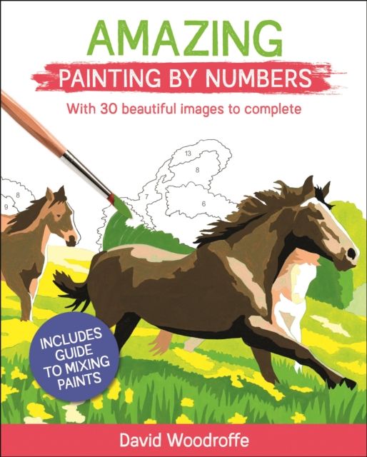 Amazing Painting by Numbers : With 30 Beautiful Images to Complete. Includes Guide to Mixing Paints