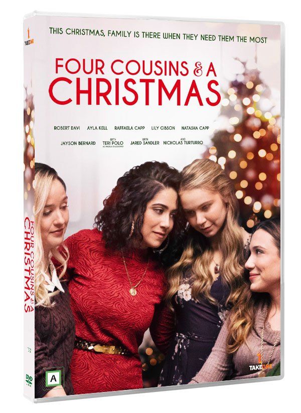 Four Cousins And a Christmas
