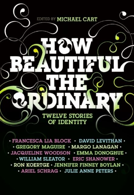 How Beautiful the Ordinary : Twelve Stories of Identity