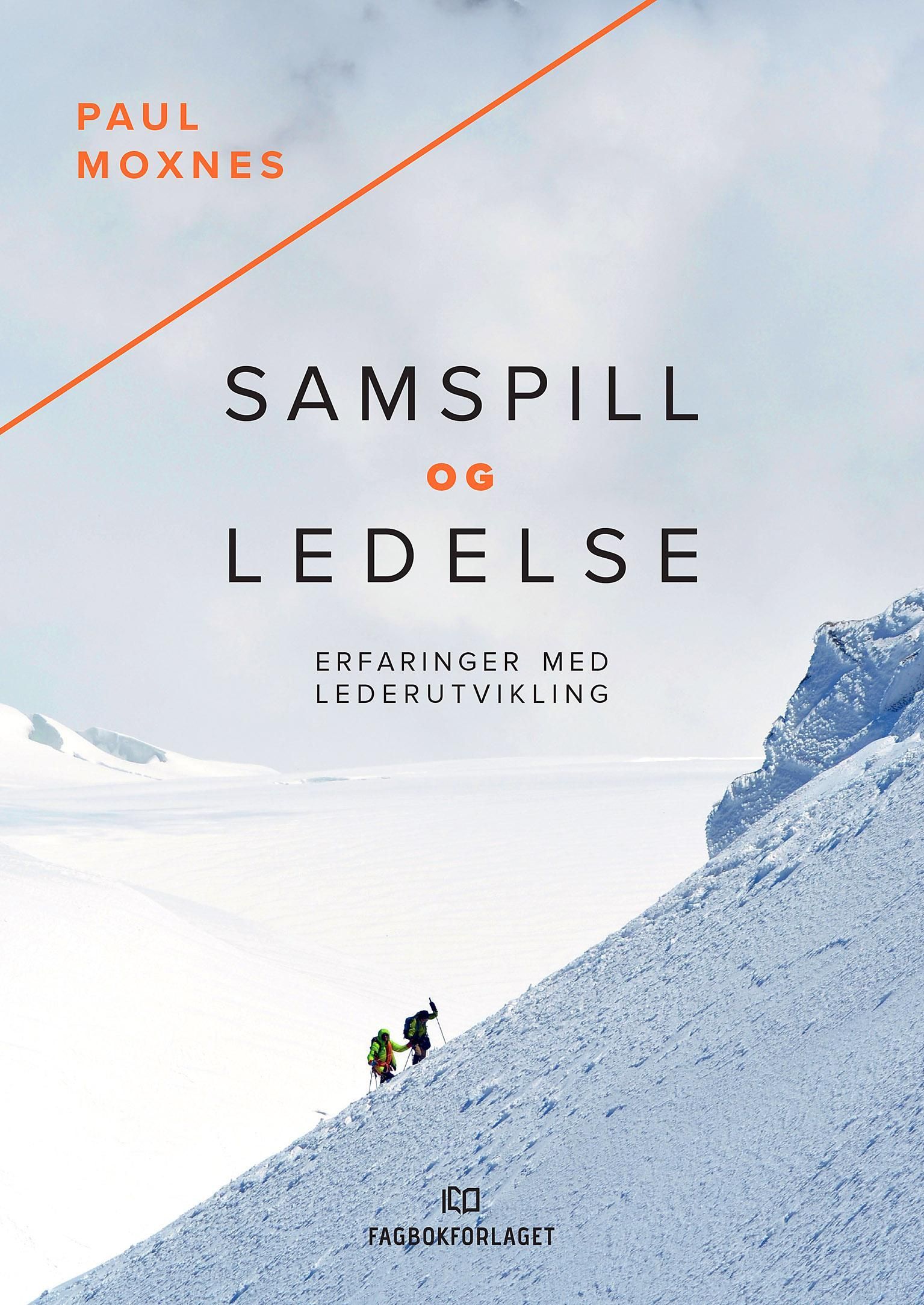 Samspill og ledelse : erfaringer med lederutvikling