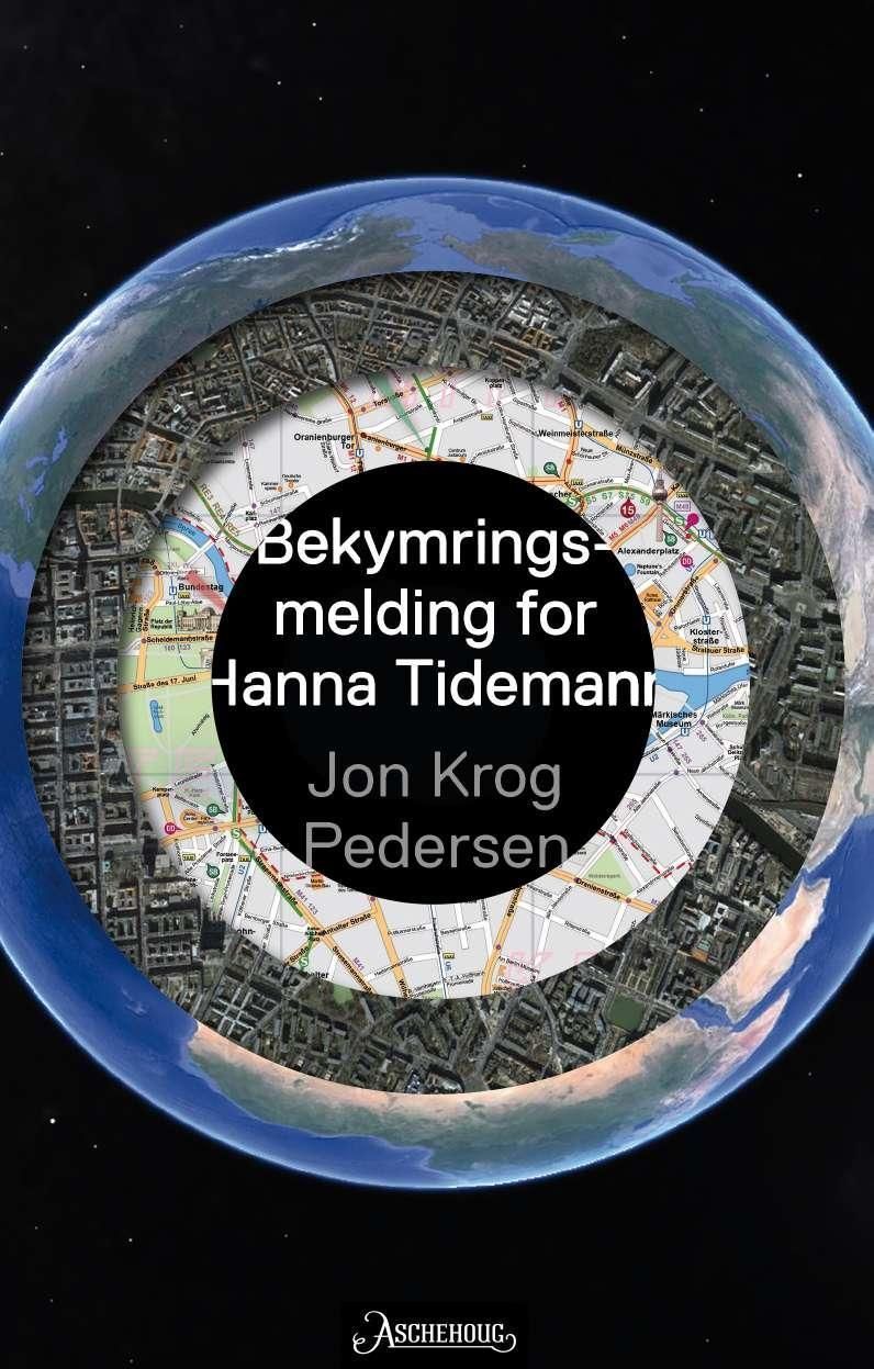 Bekymringsmelding for Hanna Tidemann : roman