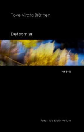 Det som er