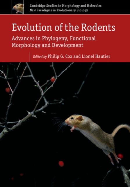 Evolution of the Rodents: Volume 5 : Advances in Phylogeny, Functional Morphology and Development