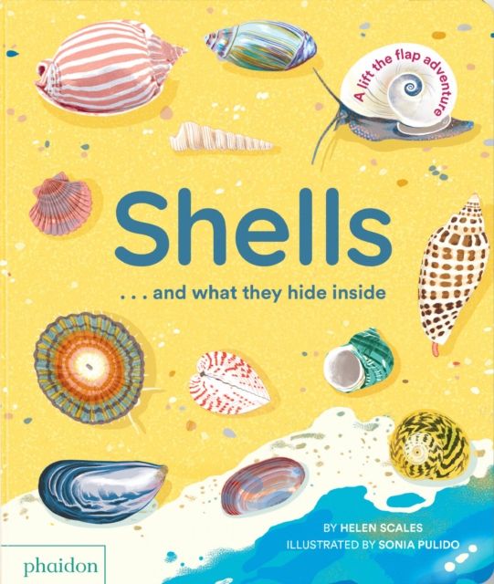 Shells... and what they hide inside : A Lift-the-Flap Adventure