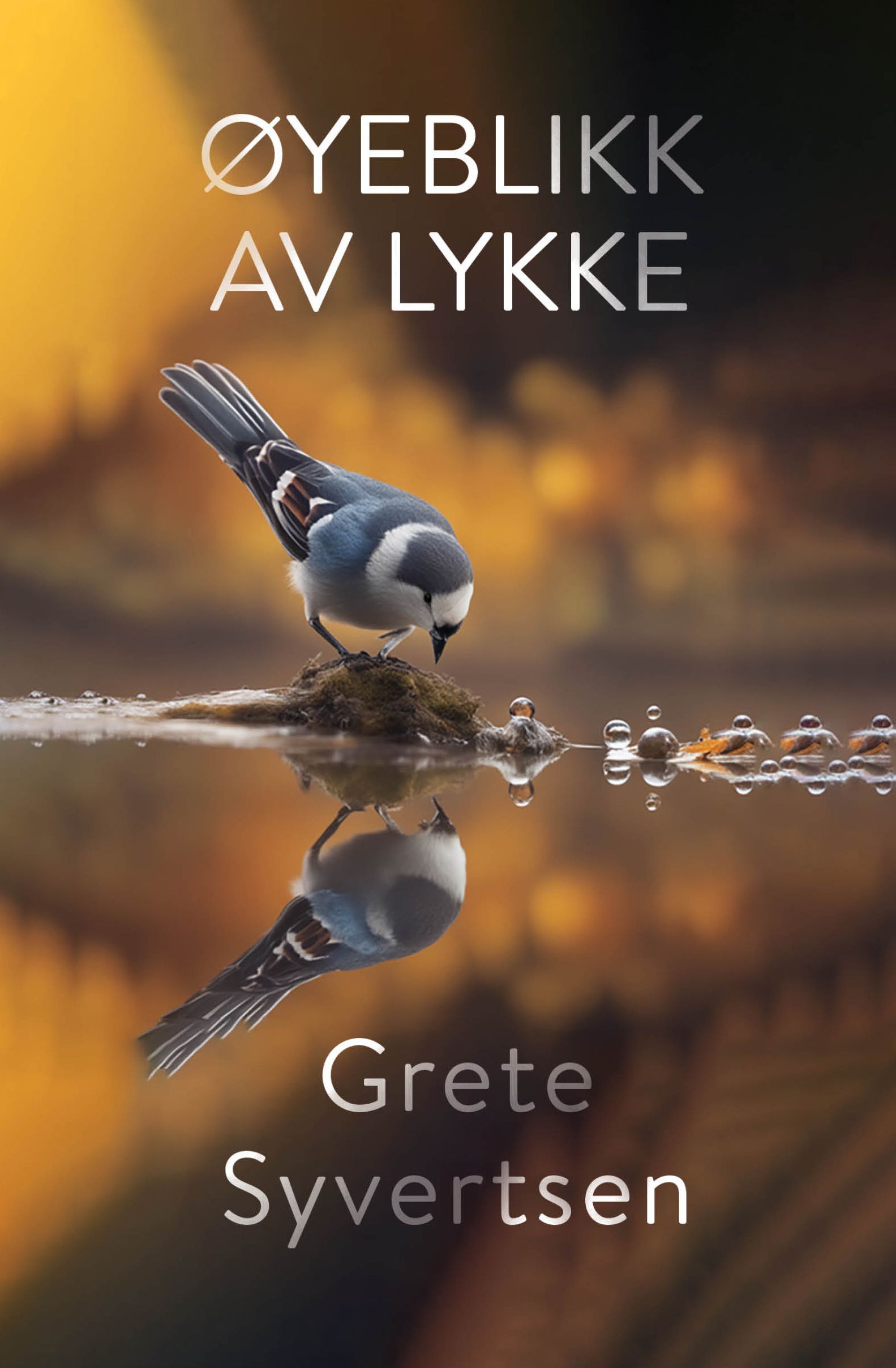 Forsidebilde av Øyeblikk av lykke