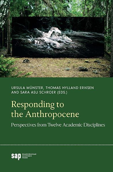 Responding to the anthropocene : perspectives from twelve academic disciplines