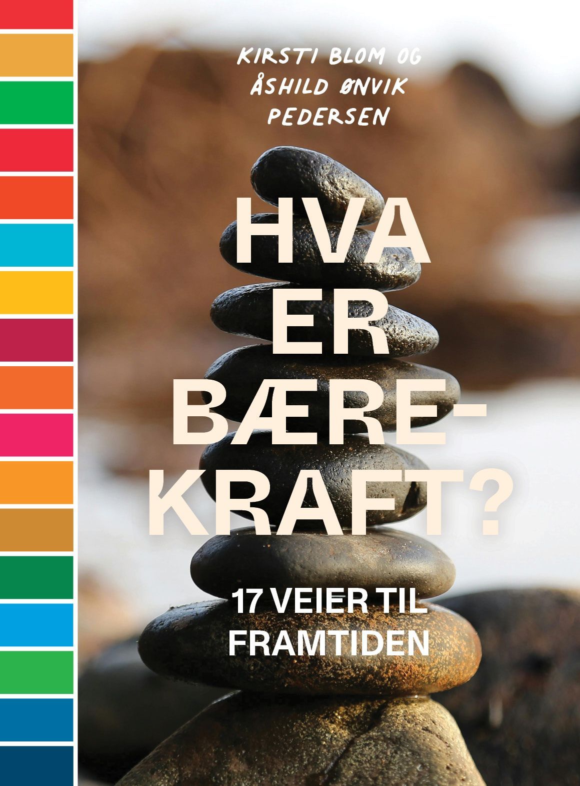 Hva er bærekraft? : 17 veier til framtiden