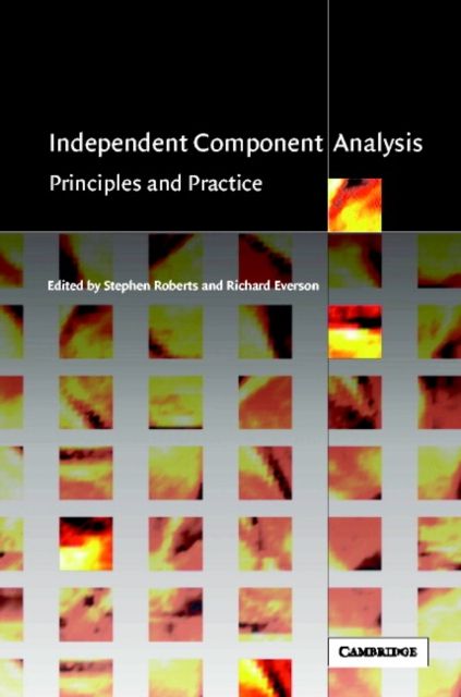 Independent Component Analysis : Principles and Practice