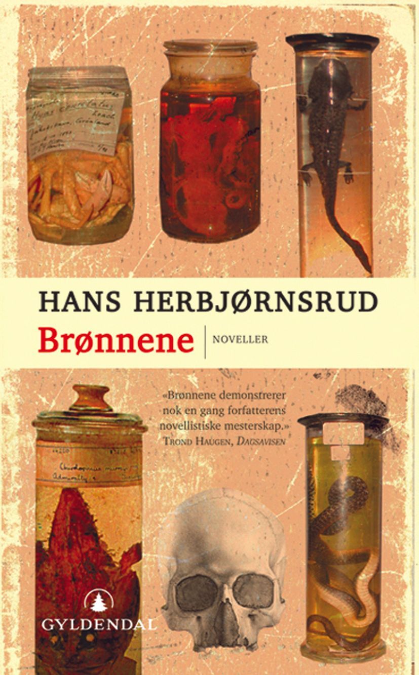 Brønnene : noveller