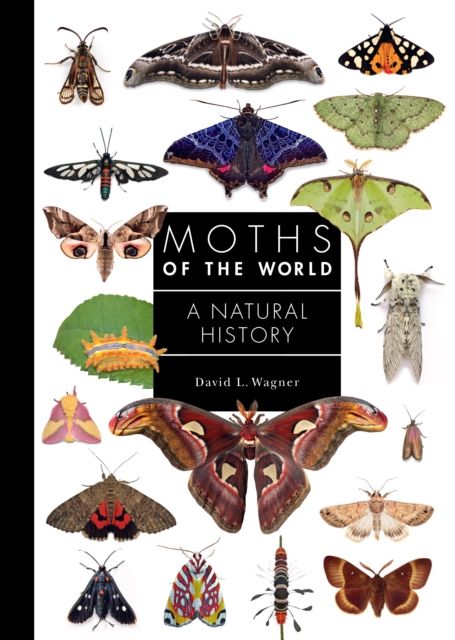 Moths of the World : A Natural History