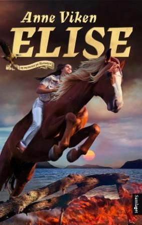 Elise og mysteriet på Hesteøya : roman