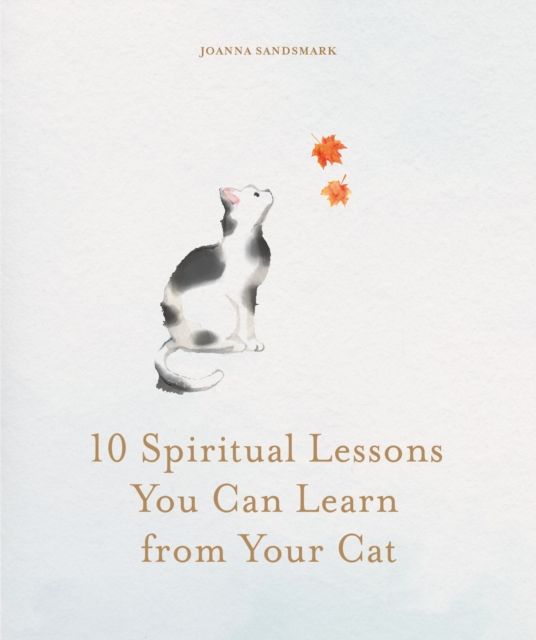 10 Spiritual Lessons You Can Learn from Your Cat : Essential Life Lessons We Can Learn From Our Furry Friend