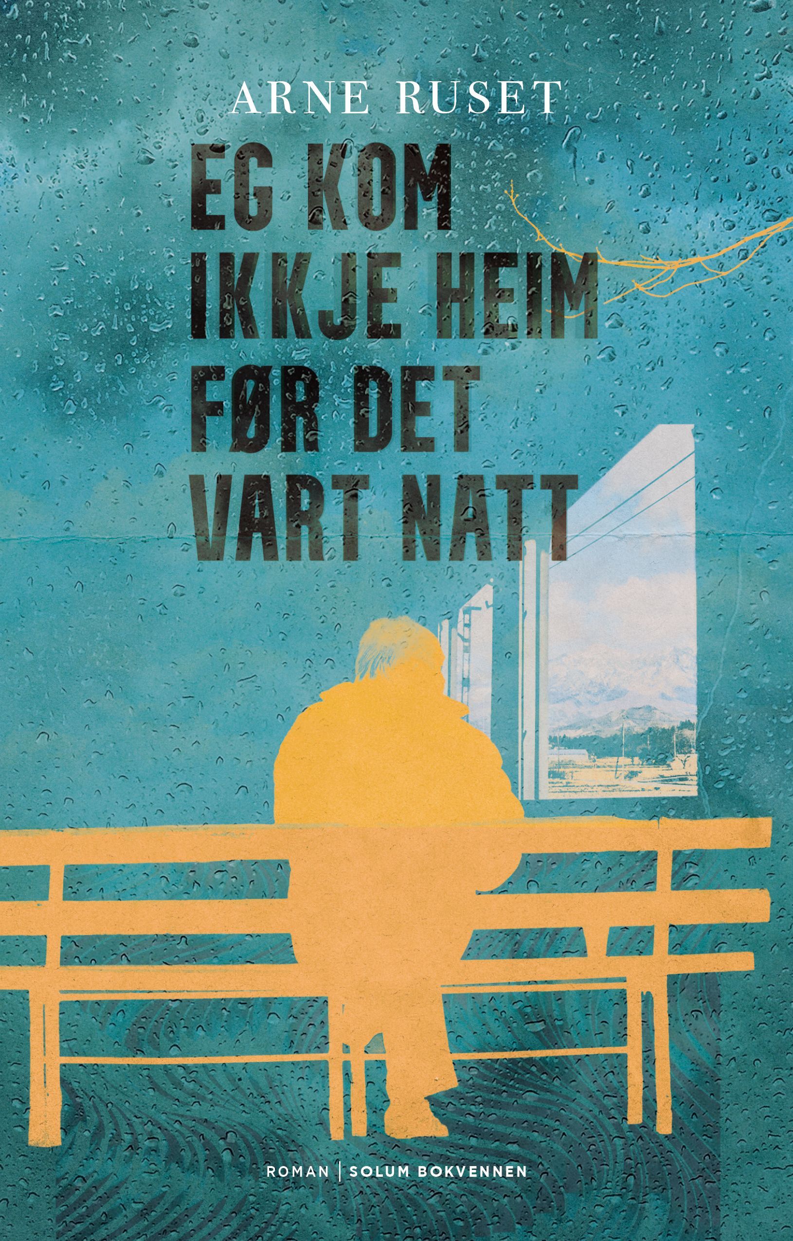 Eg kom ikkje heim før det vart natt : roman