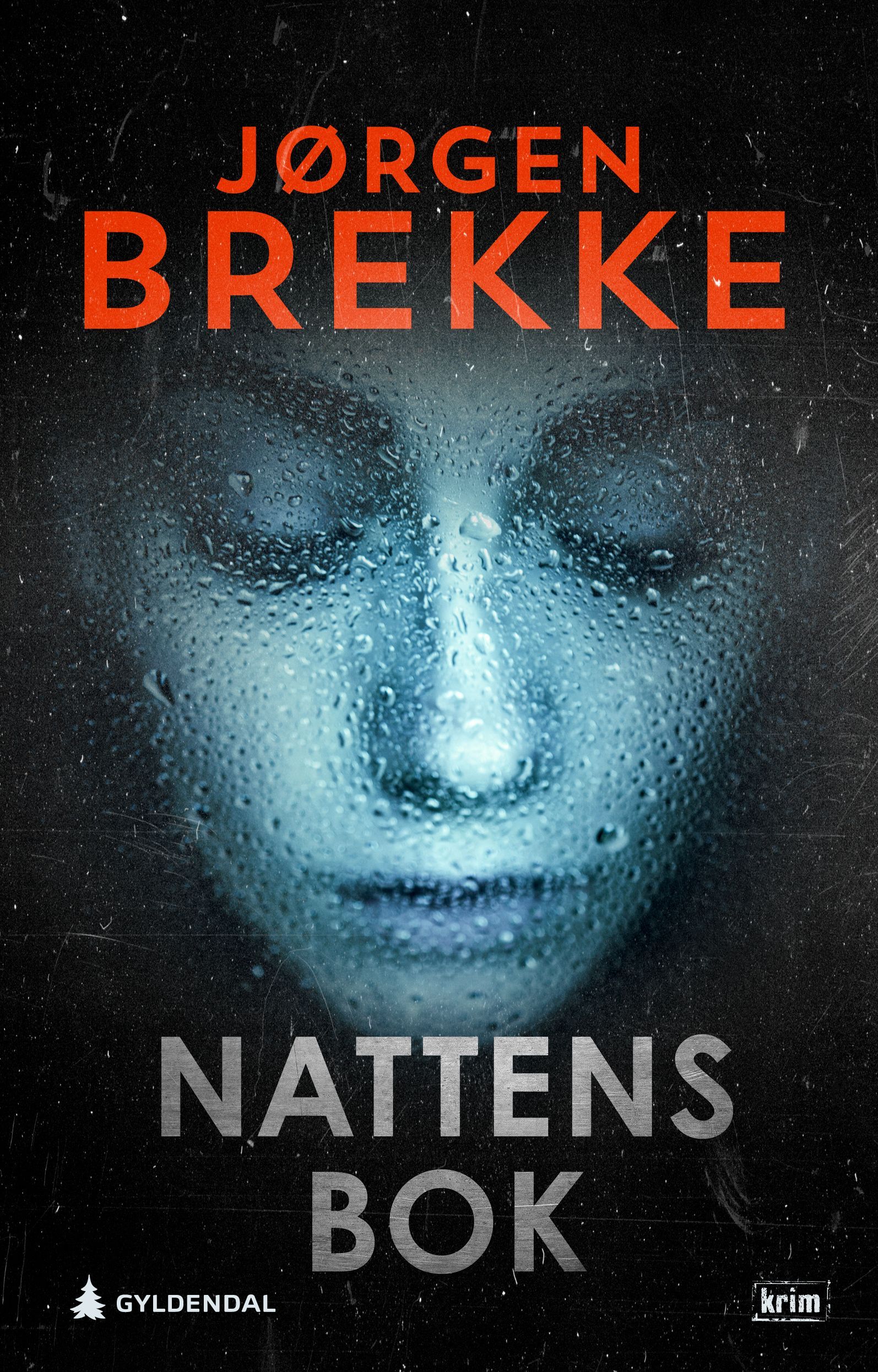 Nattens bok : kriminalroman