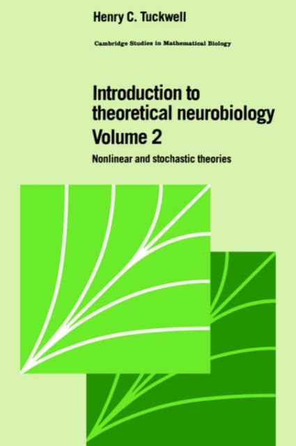 Introduction to Theoretical Neurobiology: Volume 2, Nonlinear and Stochastic Theories