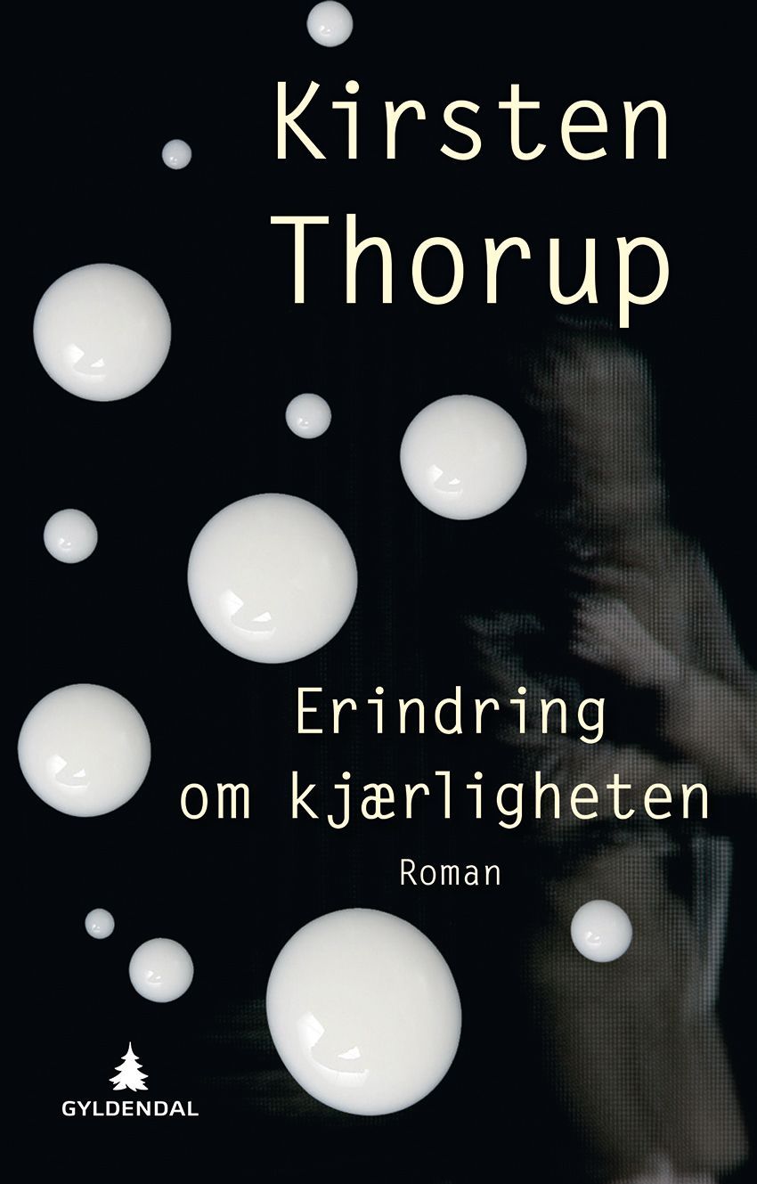 Erindring om kjærligheten : roman