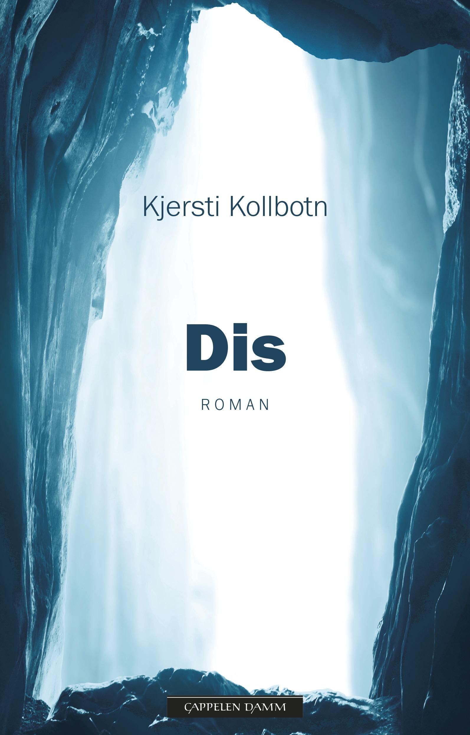 Dis : roman