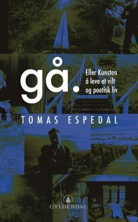 Gå. : (eller kunsten å leve et vilt og poetisk liv)
