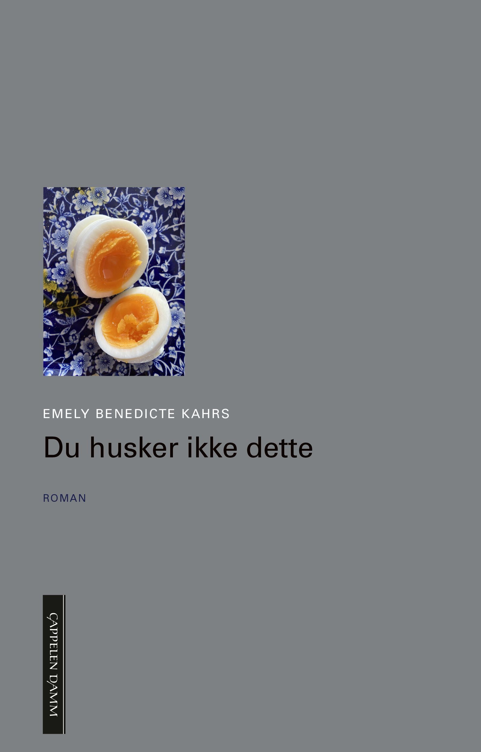 Du husker ikke dette : roman