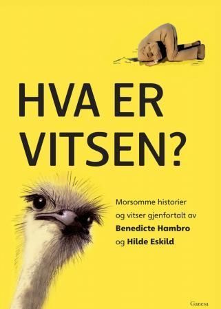 Hva er vitsen? : morsomme historier og vitser : enkle tekster