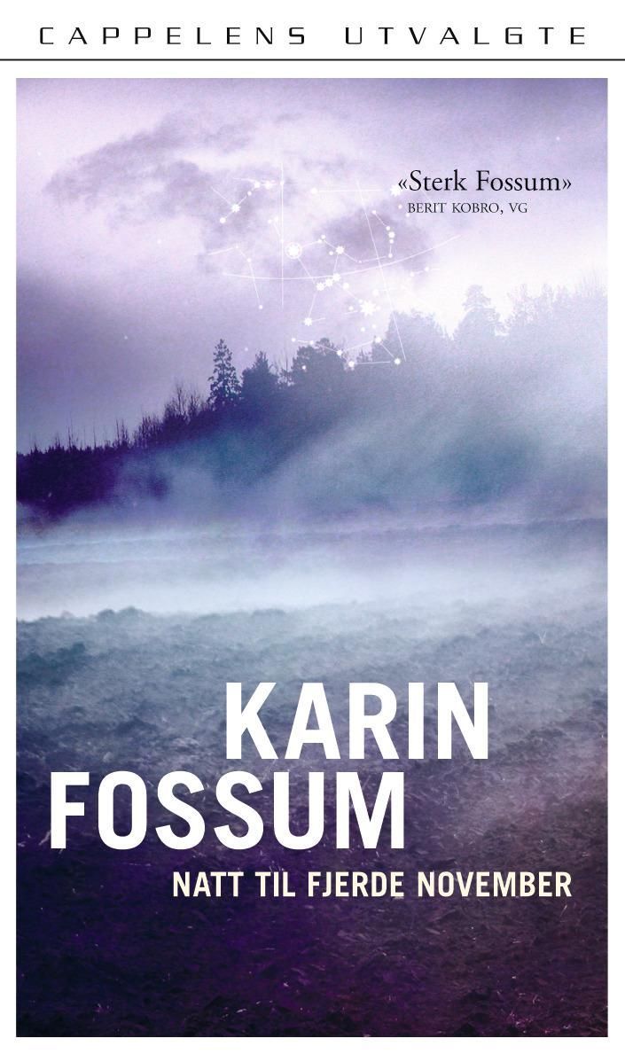 Natt til fjerde november : roman