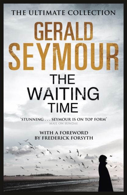Forsidebilde av The Waiting Time