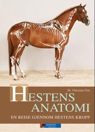 Hestens anatomi : en reise gjennom hestens kropp