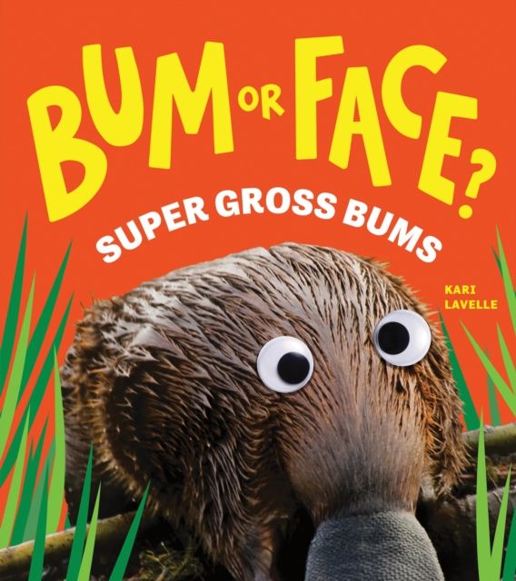 Bum or Face? Volume 3 : Super Gross Bums