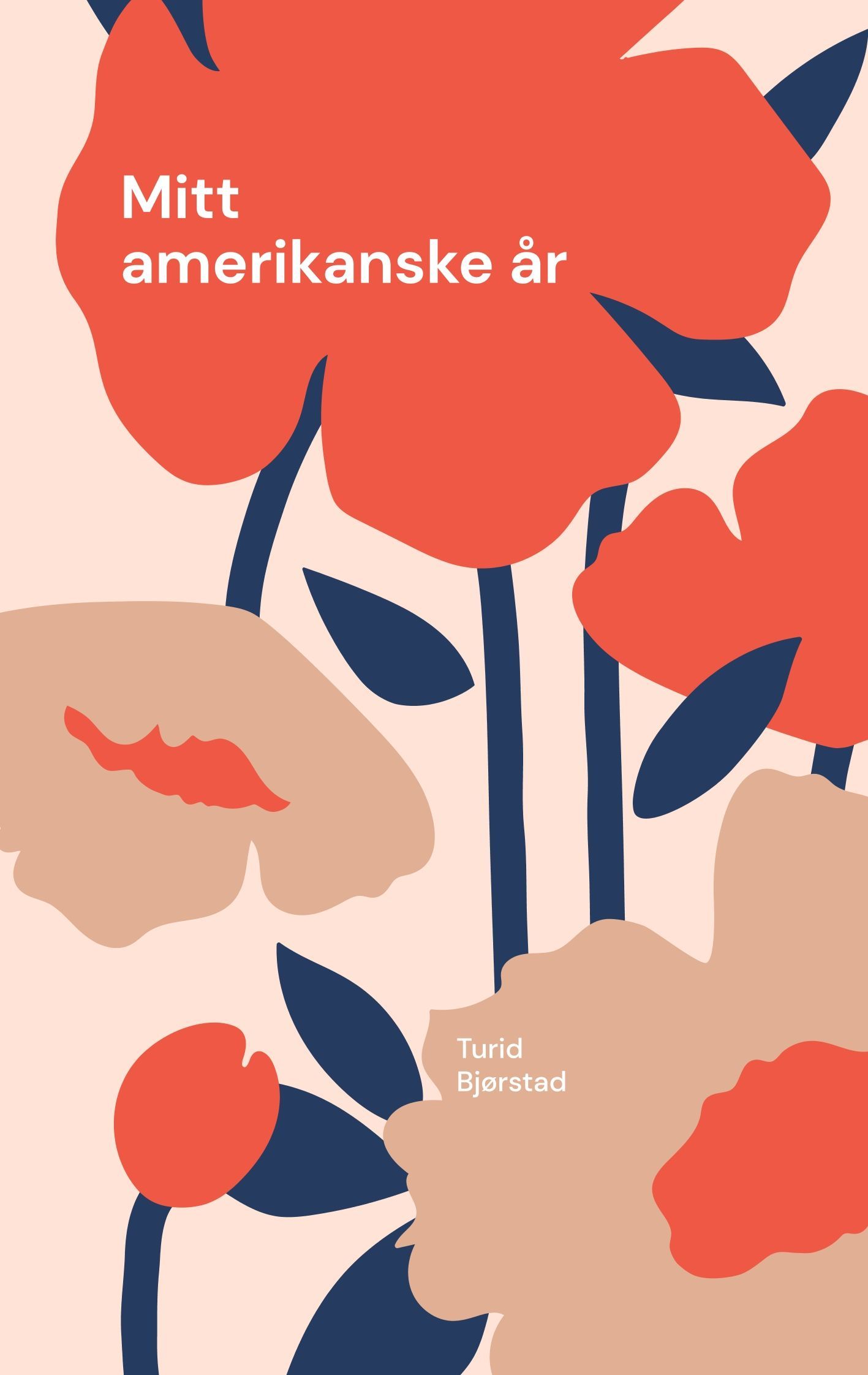 Mitt amerikanske år : roman