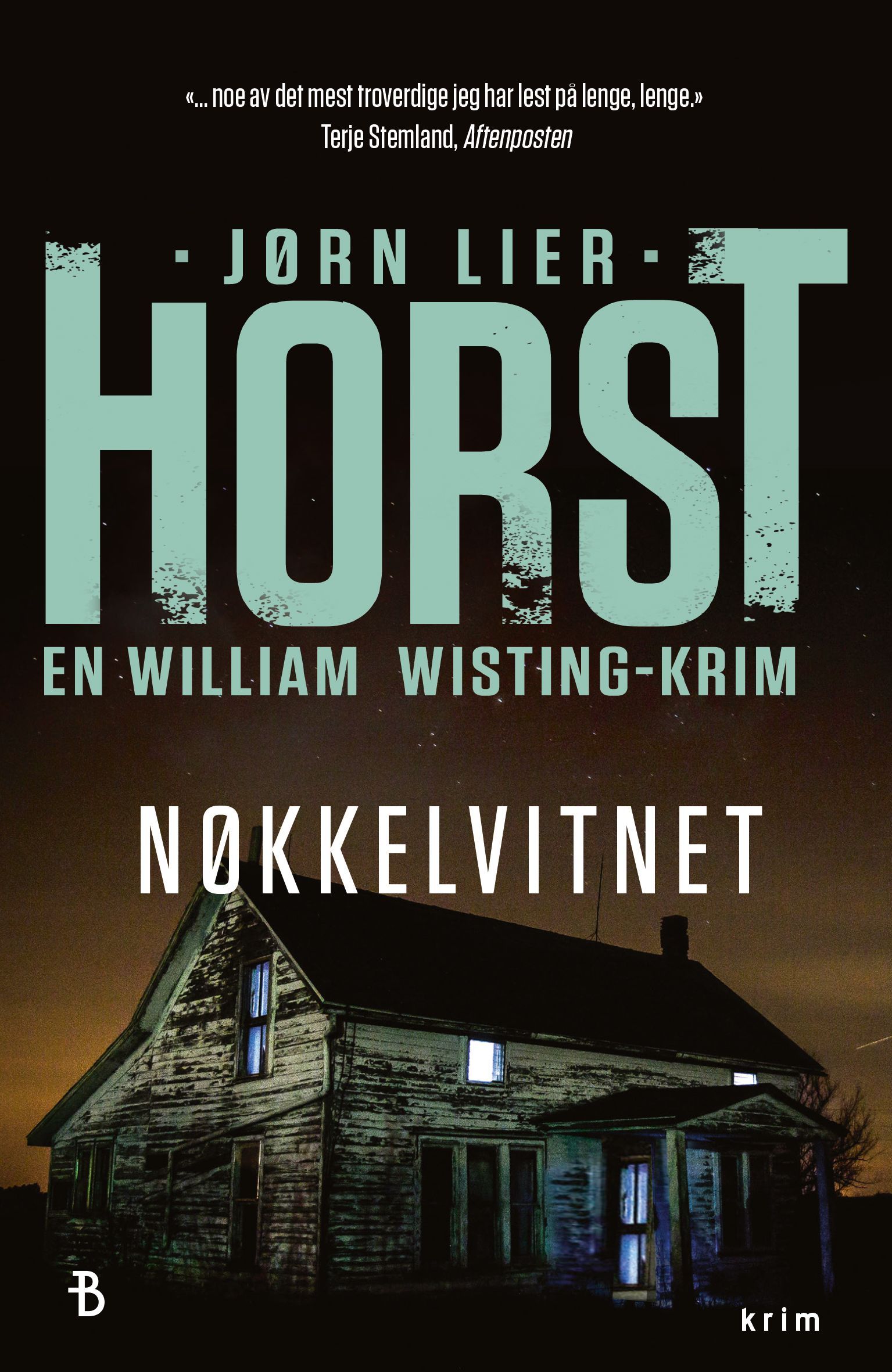 Nøkkelvitnet : kriminalroman