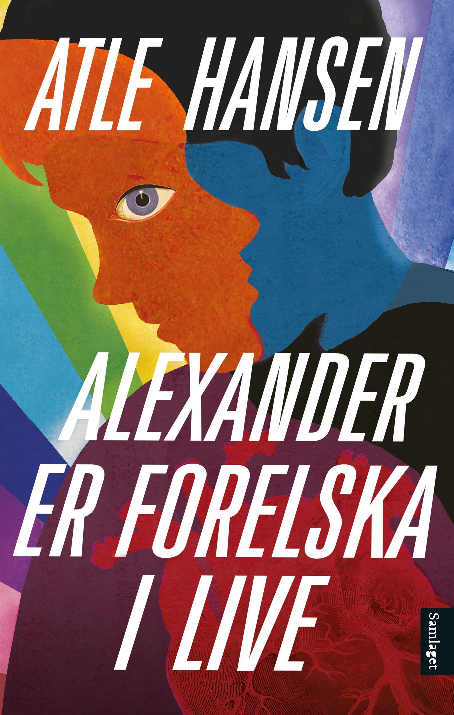 Alexander er forelska i Live : roman