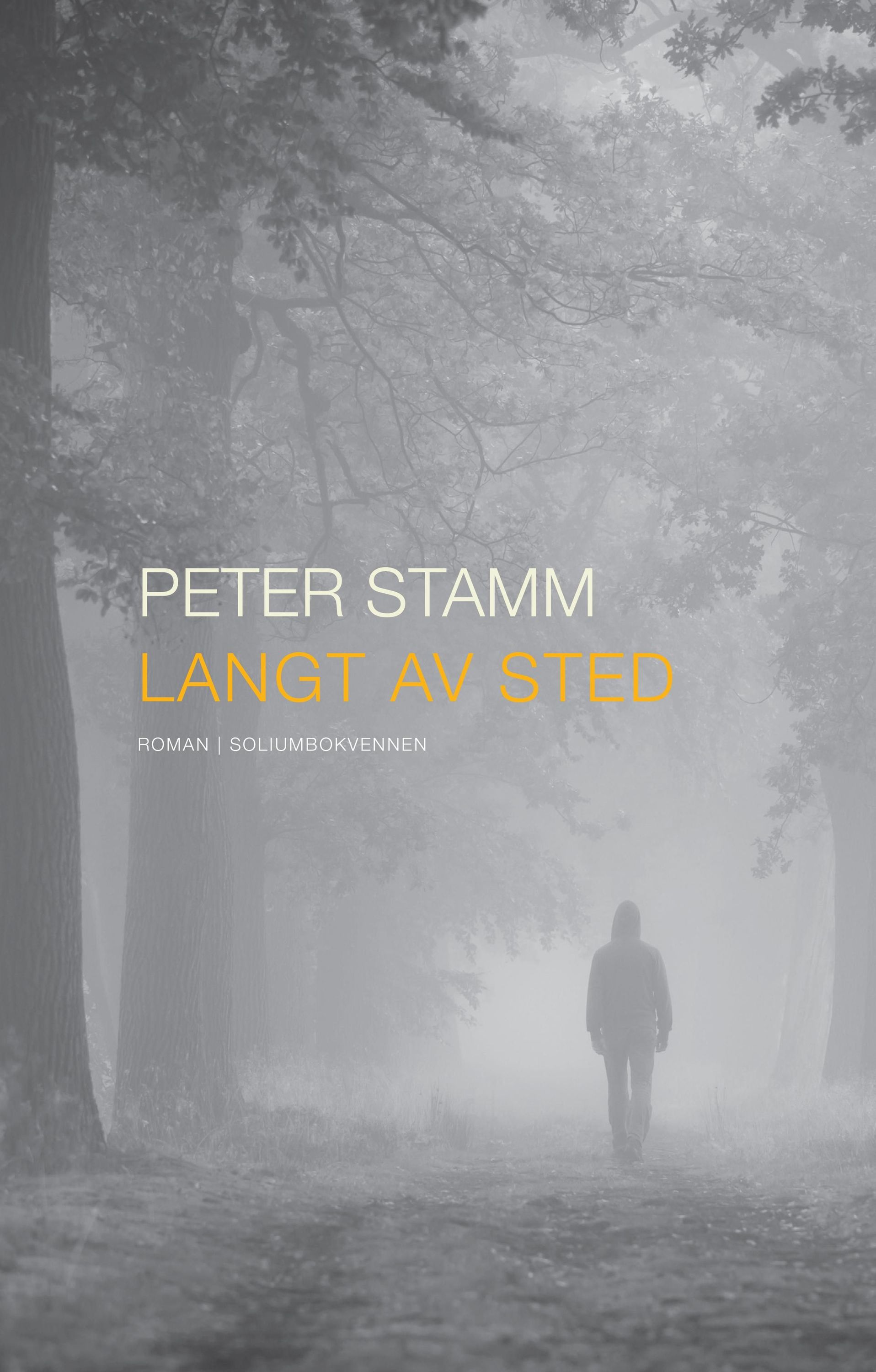 Langt av sted : roman