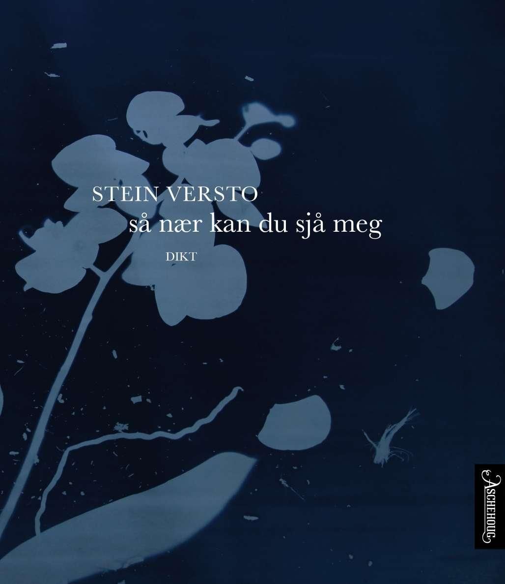 Så nær kan du sjå meg : dikt